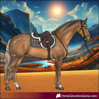 Horse Color:Chocolate Palomino 