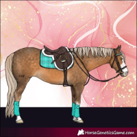Horse Color:Chocolate Palomino 