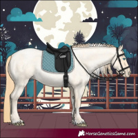 Horse Color:Buckskin Roan Pearl and Buckskin Roan Pearl Tobiano