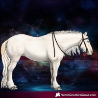 Horse Color:Buckskin Roan Pearl  and Silver Buckskin Roan Pearl 