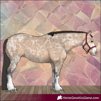 Horse Color:Bay Ice Dun 