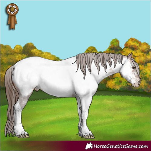 Horse Color:Bay Tobiano Near Fewspot