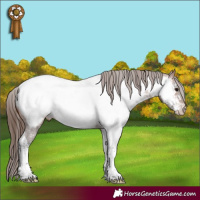 Horse Color:Bay Tobiano Near Fewspot 