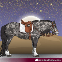 Horse Color:Smoky Black Sabino Tobiano 