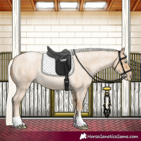 Horse Color:Silver Smoky Blue Roan Pearl 