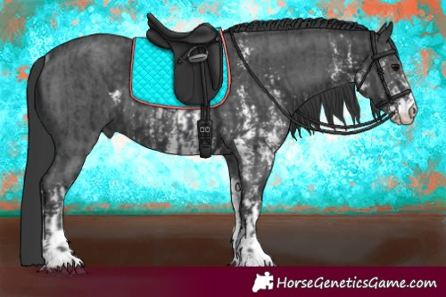 Horse Color:Black Sabino Rabicano  and Black Sabino Rabicano 