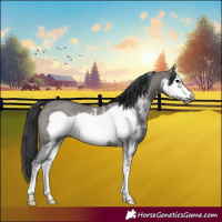 Horse Color:Grullo Sabino Frame Rabicano 