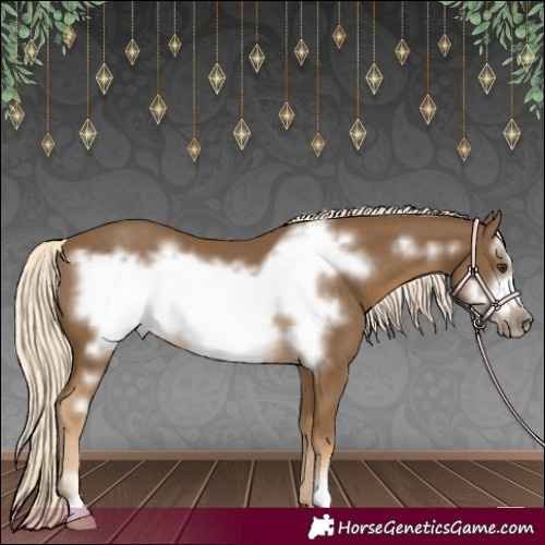 Horse Color:Chocolate Palomino Frame 
