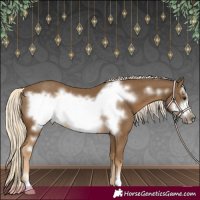 Horse Color:Chocolate Palomino Frame 