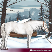 Horse Color:White Spotted Chocolate Palomino Appaloosa Rabicano