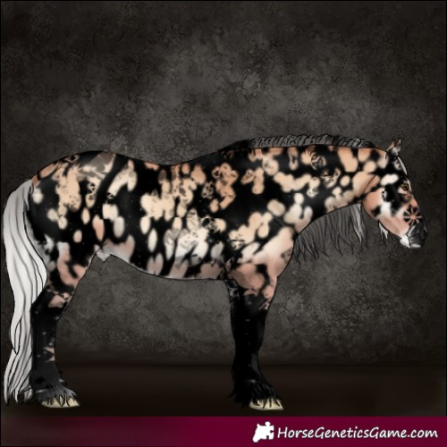 Horse Color:Void Silver Amber Champagne Onyx Tobiano Near Leopard
