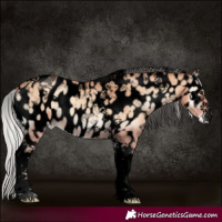 Horse Color:Void Silver Amber Champagne Onyx Tobiano Near Leopard 