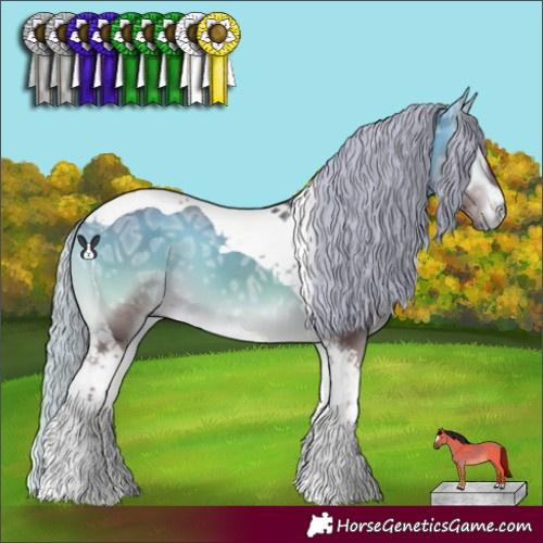 Horse Color:Chocolate Silver Buckskin Chinchilla Ice Onyx Tobiano 