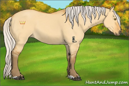 Horse Color:Silver Buckskin Dun Sabino 
