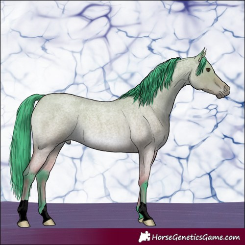 Horse Color:Watercolor Bay Roan Dun Rabicano