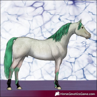 Horse Color:Watercolor Bay Roan Dun Rabicano