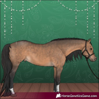 Horse Color:Brown Dun and Brown Dun Tobiano