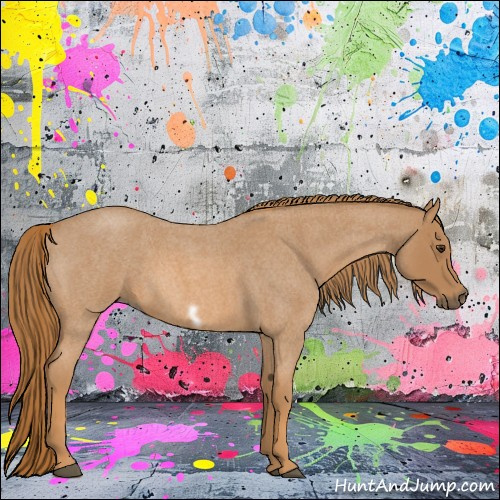 Horse Color:Red Roan Frame