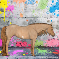 Horse Color:Red Roan Frame 