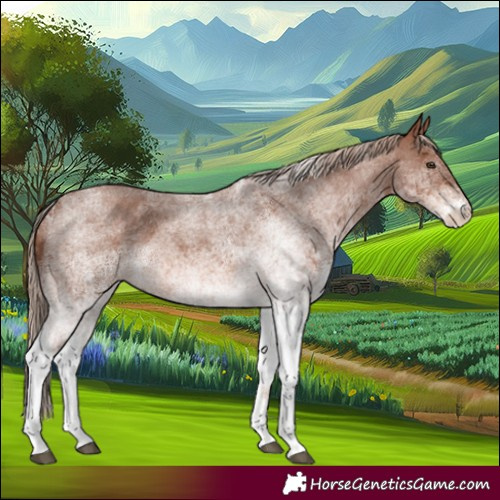 Horse Color:White Spotted Red Roan 