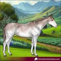 Horse Color:White Spotted Red Roan 