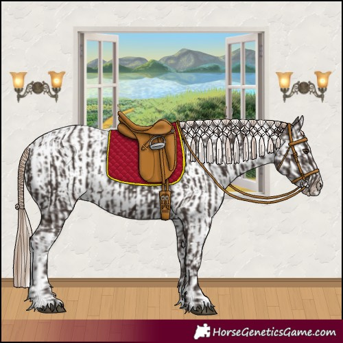 Horse Color:Liver Chestnut  and Liver Chestnut Appaloosa 