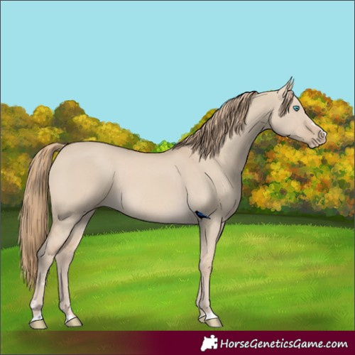 Horse Color:Smoky Creme Dun