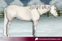 Horse Color:Cremello Dun Tobiano 