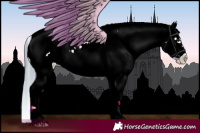 Horse Color:Watercolor Bay Dun Sabino Frame Appaloosa 