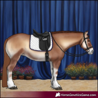 Horse Color:Red Onyx Sabino 
