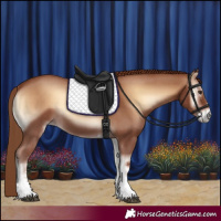 Horse Color:Red Onyx Sabino 