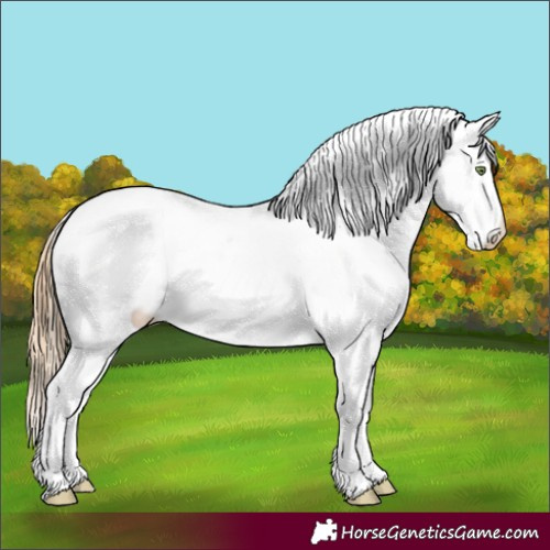Horse Color:Gold Champagne Roan Dun Splash Tobiano Frame Appaloosa Rabicano 