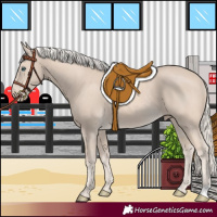 Horse Color:Cremello 
