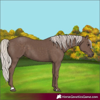 Horse Color:Silver Black 