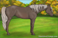 Horse Color:Silver Black 