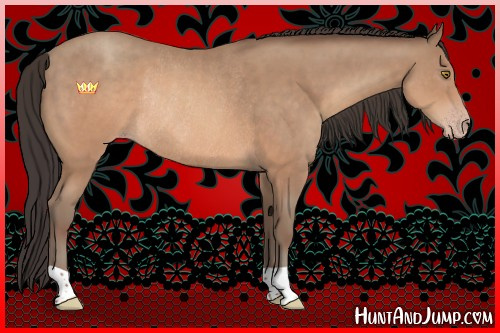 Horse Color:Sable Champagne Rabicano