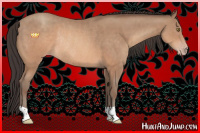 Horse Color:Sable Champagne Rabicano 