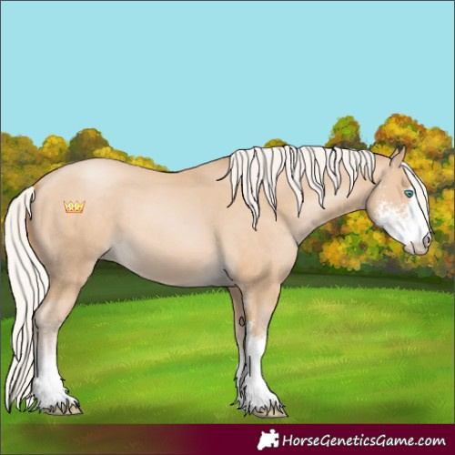 Horse Color:Silver Buckskin Pearl Sabino 