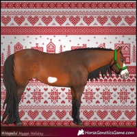 Horse Color:Bay Frame