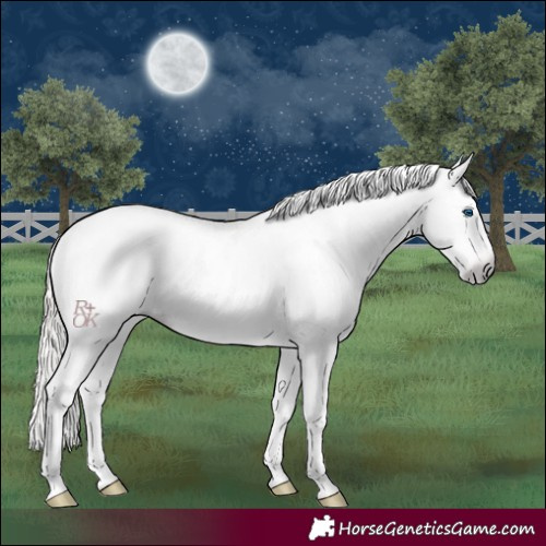 Horse Color:Gray Silver Amber Cream Champagne Roan Dun Splash Tobiano Frame Varnish Rabicano 