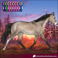 Horse Color:Brown Dun Sabino
