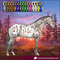 Horse Color:Brown Dun Near Leopard