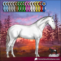 Horse Color:Sable Champagne Dun Sabino Appaloosa 
