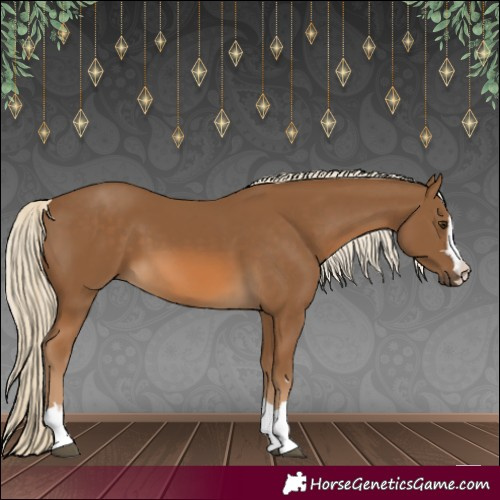 Horse Color:Chocolate Palomino 