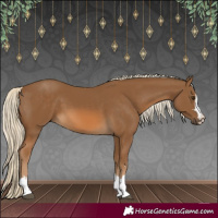 Horse Color:Chocolate Palomino 