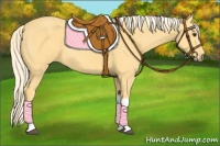 Horse Color:Palomino Tobiano 