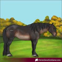Horse Color:Brown 