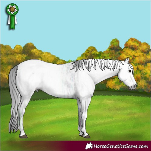 Horse Color:Gray Black Ice Tobiano 
