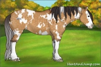 Horse Color:White Spotted Buckskin Dun Splash
