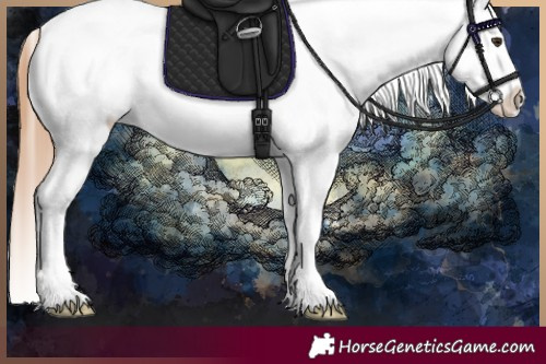 Horse Color:White Spotted Red Dun Blanket